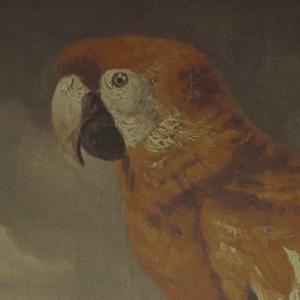 小咪儿仙儿骚麦原唱
